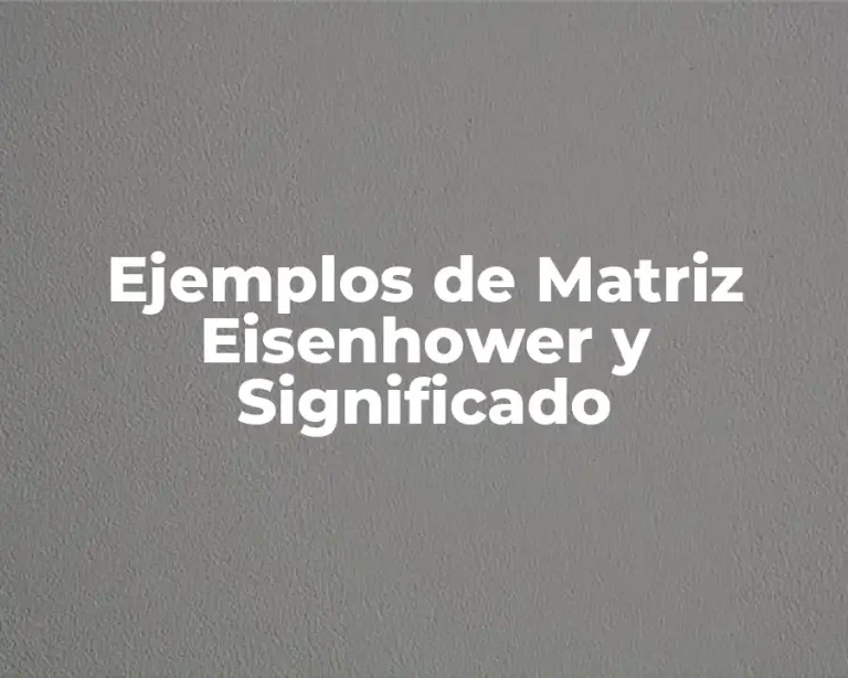 Ejemplos de Matriz Eisenhower y Significado