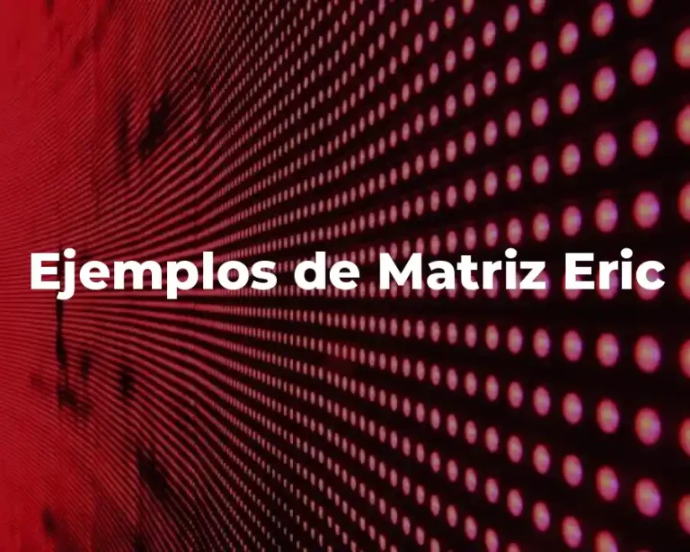 Ejemplos de Matriz Eric