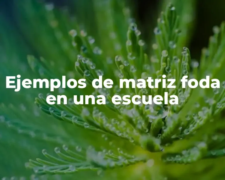 Ejemplos de matriz foda en una escuela