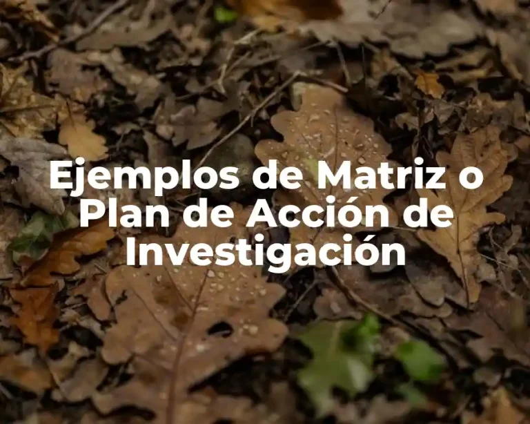 Ejemplos de Matriz o Plan de Acción de Investigación