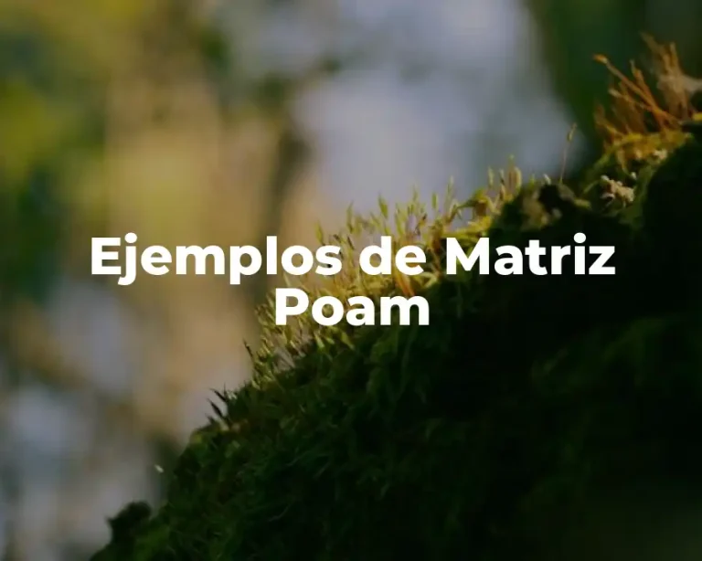 Ejemplos de Matriz Poam