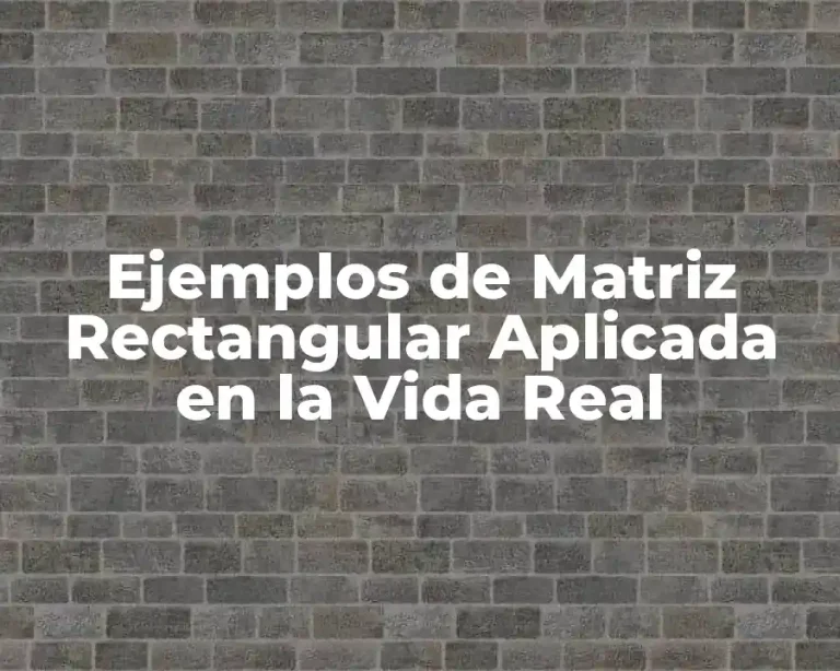 Ejemplos de Matriz Rectangular Aplicada en la Vida Real