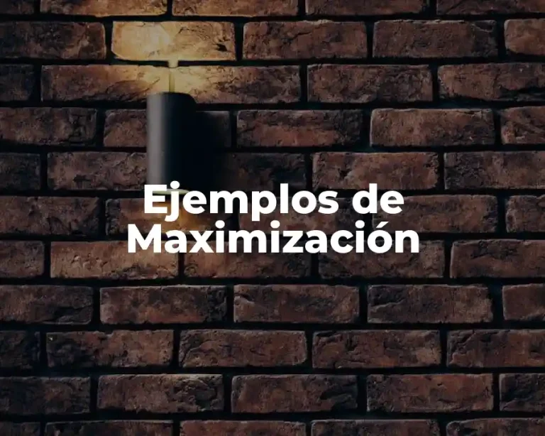 Ejemplos de Maximización