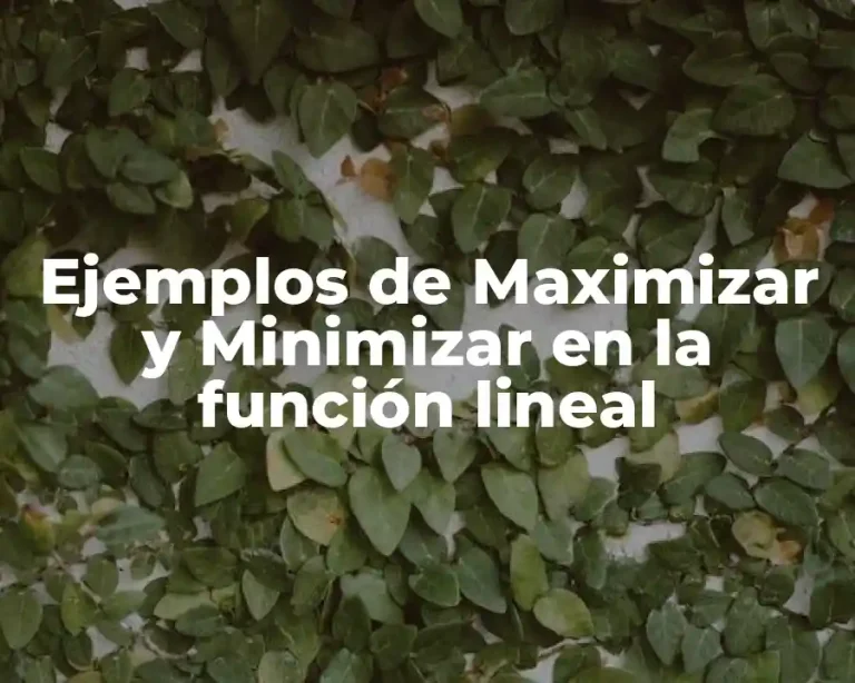 Ejemplos de Maximizar y Minimizar en la función lineal