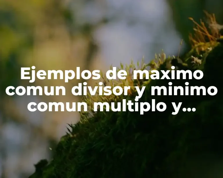 Ejemplos de maximo comun divisor y minimo comun multiplo y Significado