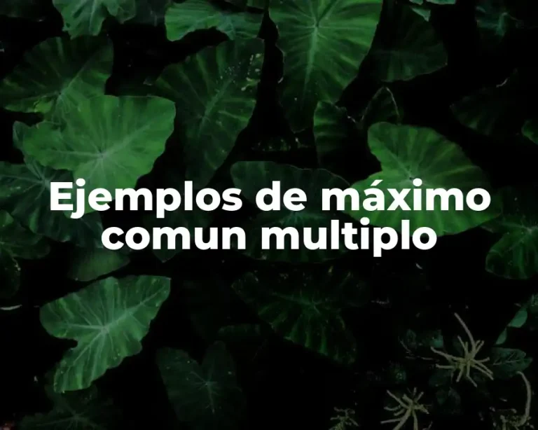 Ejemplos de máximo comun multiplo