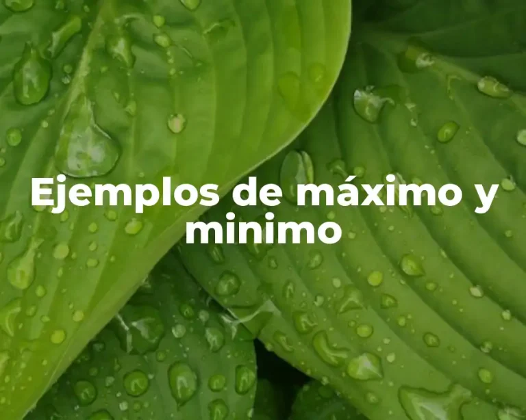 Ejemplos de máximo y minimo