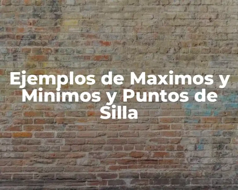Ejemplos de Maximos y Minimos y Puntos de Silla