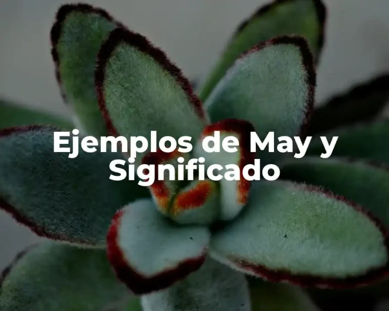 Ejemplos de May y Significado