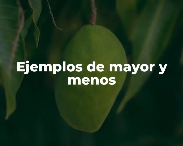 Ejemplos de mayor y menos