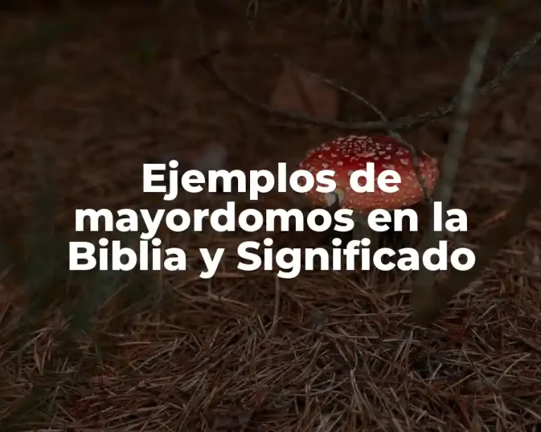 Ejemplos de mayordomos en la Biblia y Significado