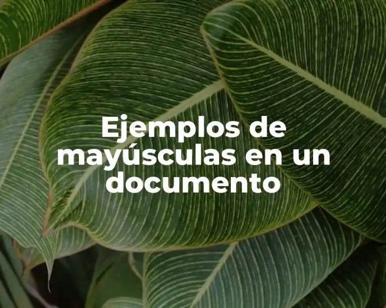 Ejemplos de mayúsculas en un documento