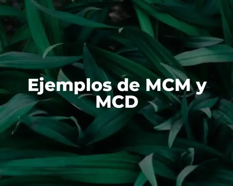 Ejemplos de MCM y MCD