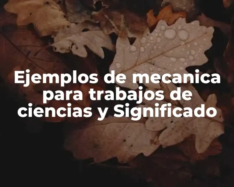 Ejemplos de mecanica para trabajos de ciencias y Significado