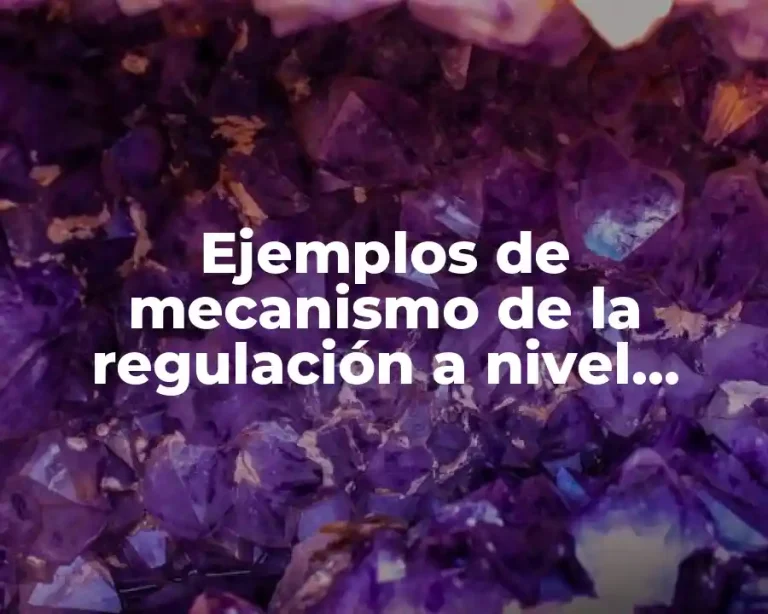 Ejemplos de mecanismo de la regulación a nivel celular