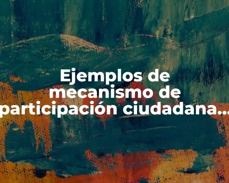 Ejemplos de mecanismo de participación ciudadana y Significado