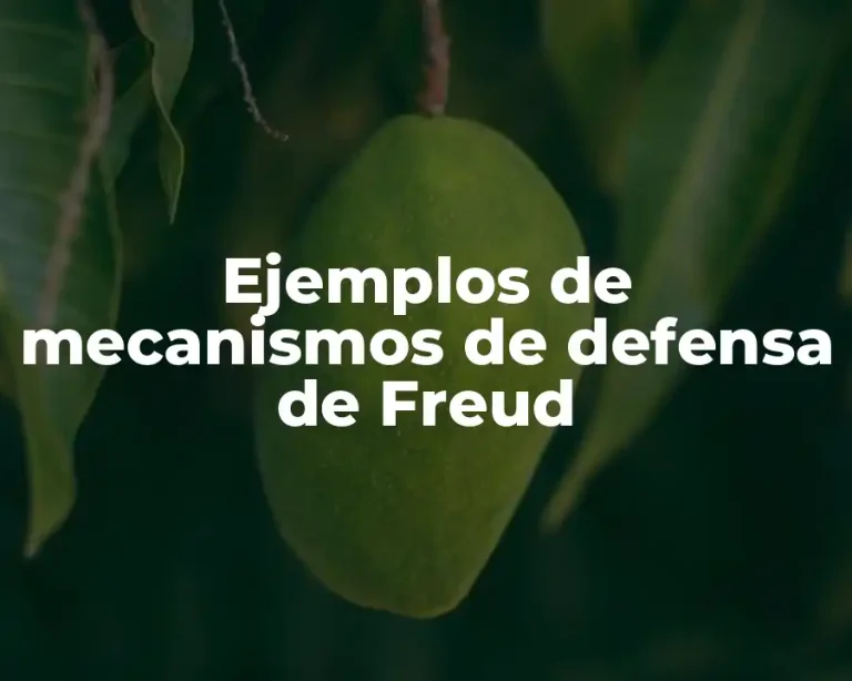 Ejemplos de mecanismos de defensa de Freud