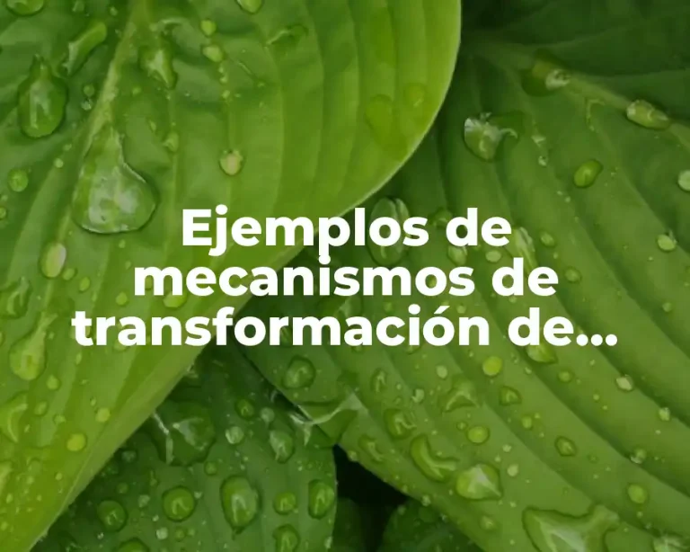 Ejemplos de mecanismos de transformación de movimiento