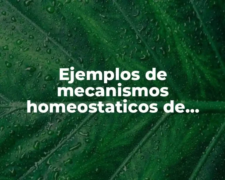 Ejemplos de mecanismos homeostaticos de retroalimentación positiva