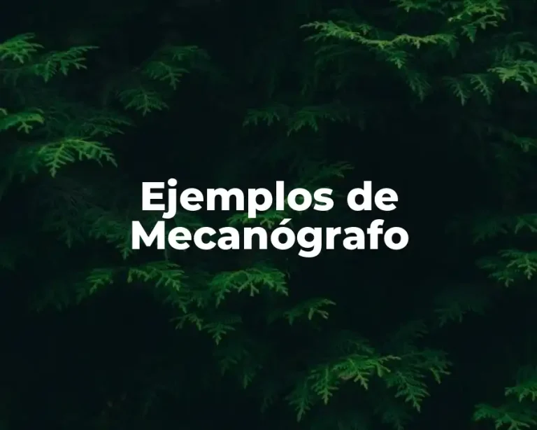 Ejemplos de Mecanógrafo