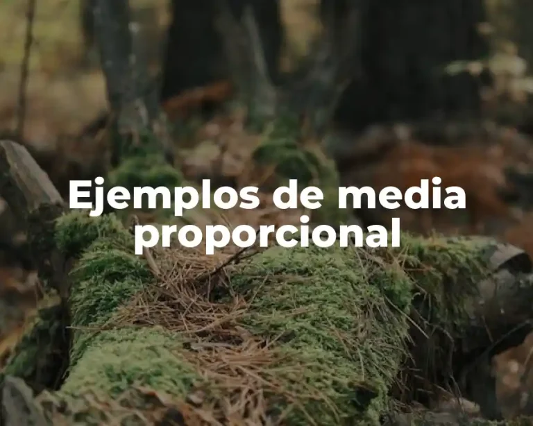 Ejemplos de media proporcional