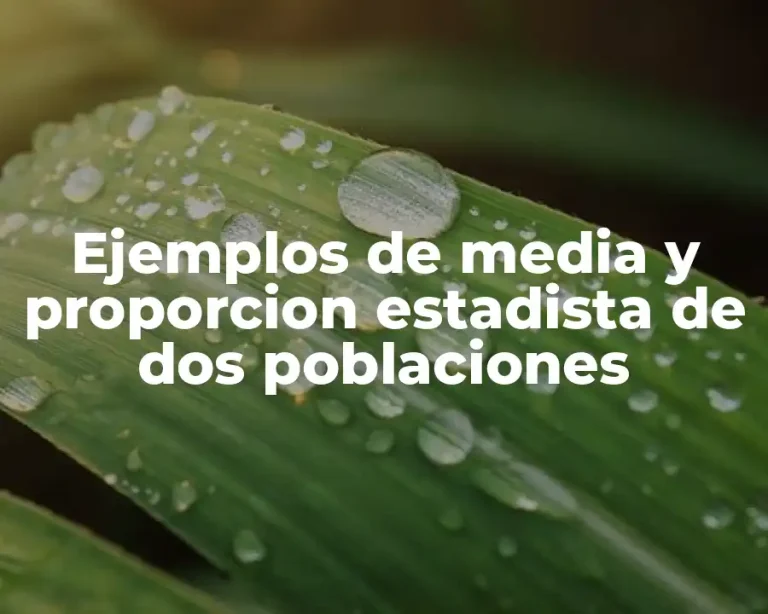 Ejemplos de media y proporcion estadista de dos poblaciones