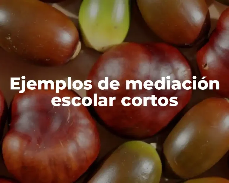 Ejemplos de mediación escolar cortos