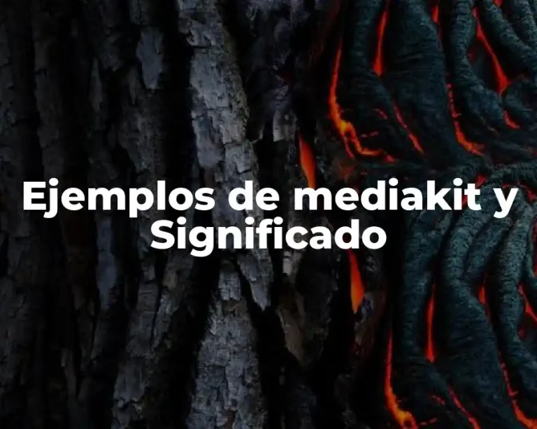 Ejemplos de mediakit y Significado