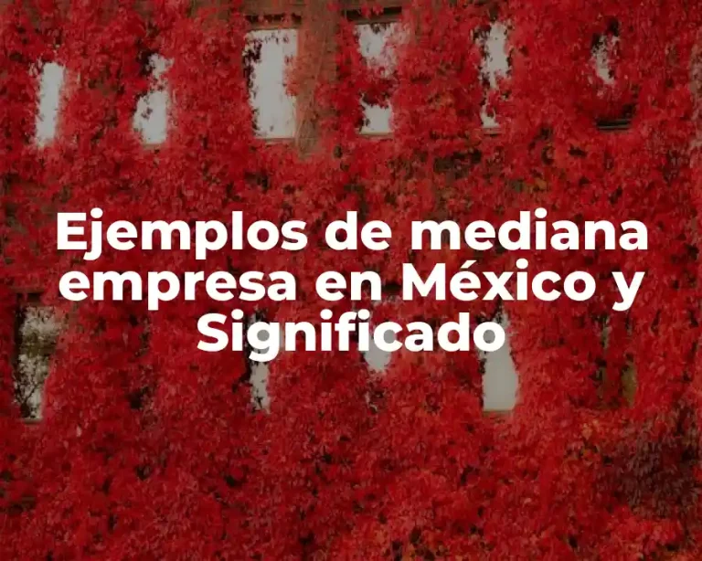 Ejemplos de mediana empresa en México y Significado