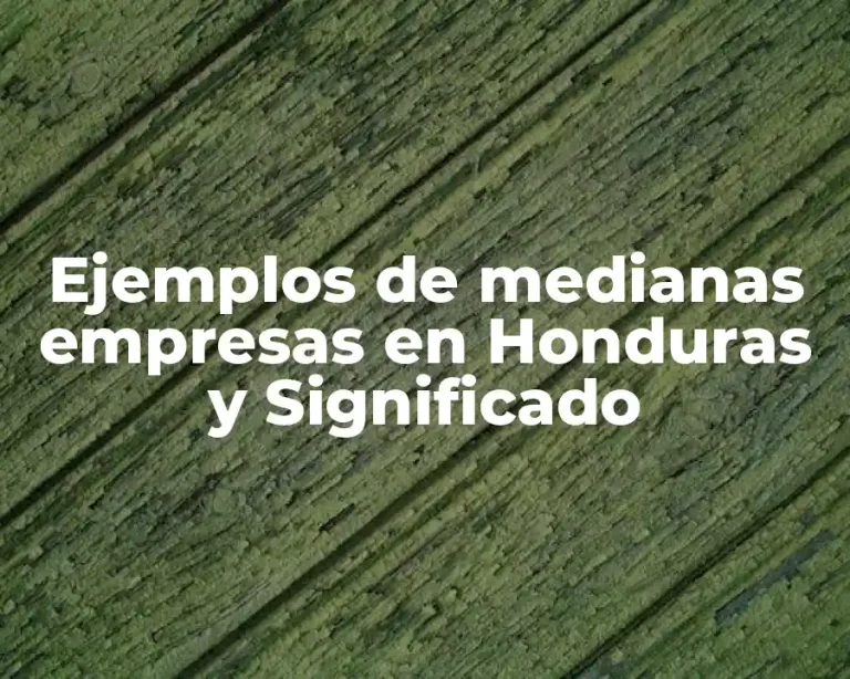 Ejemplos de medianas empresas en Honduras y Significado