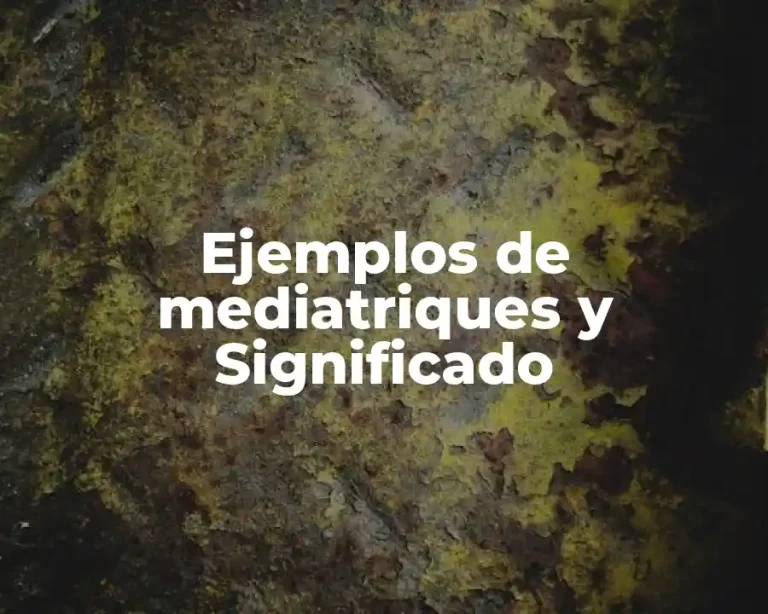Ejemplos de mediatriques y Significado