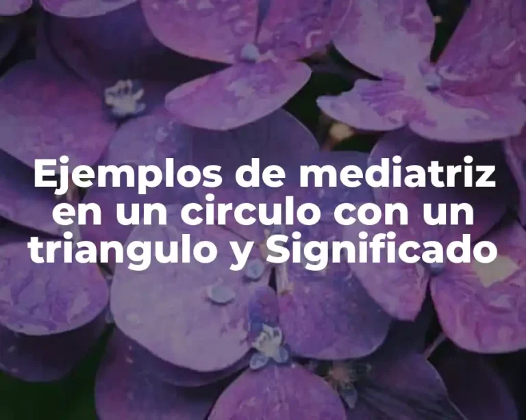 Ejemplos de mediatriz en un circulo con un triangulo y Significado