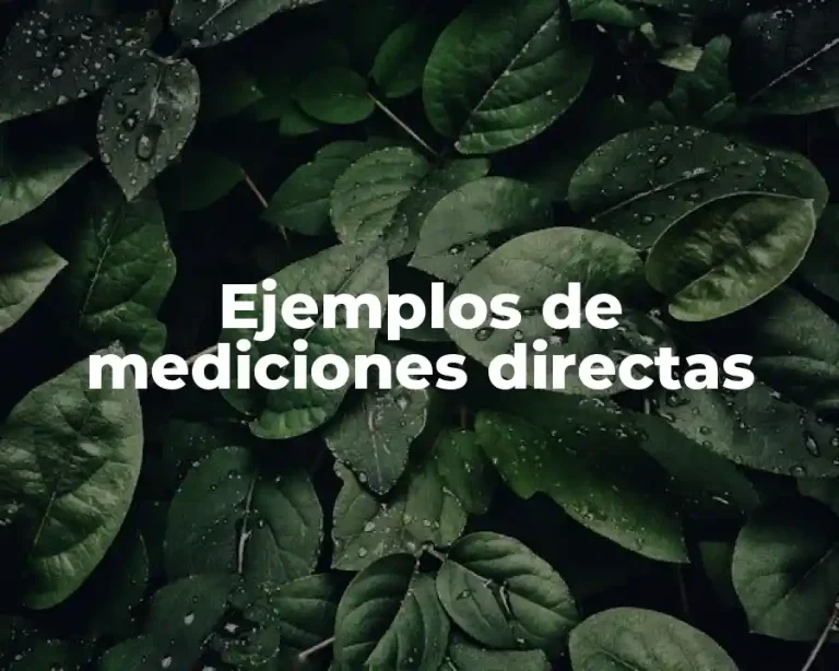 Ejemplos de mediciones directas