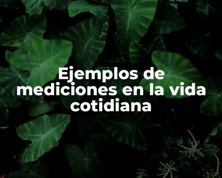 Ejemplos de mediciones en la vida cotidiana