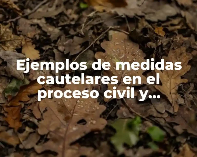 Ejemplos de medidas cautelares en el proceso civil y Significado