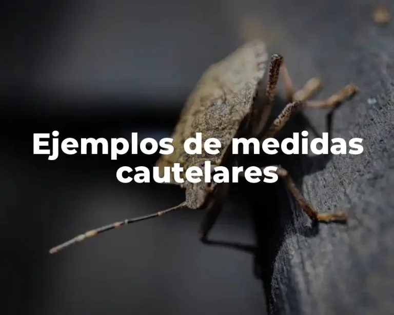 Ejemplos de medidas cautelares