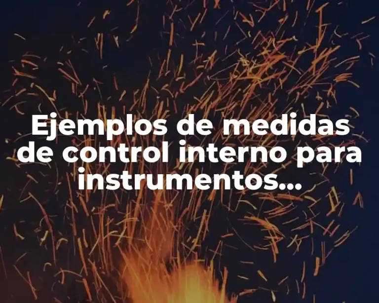 Ejemplos de medidas de control interno para instrumentos financieros