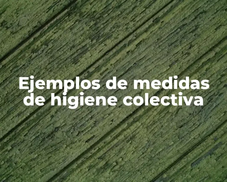 Ejemplos de medidas de higiene colectiva