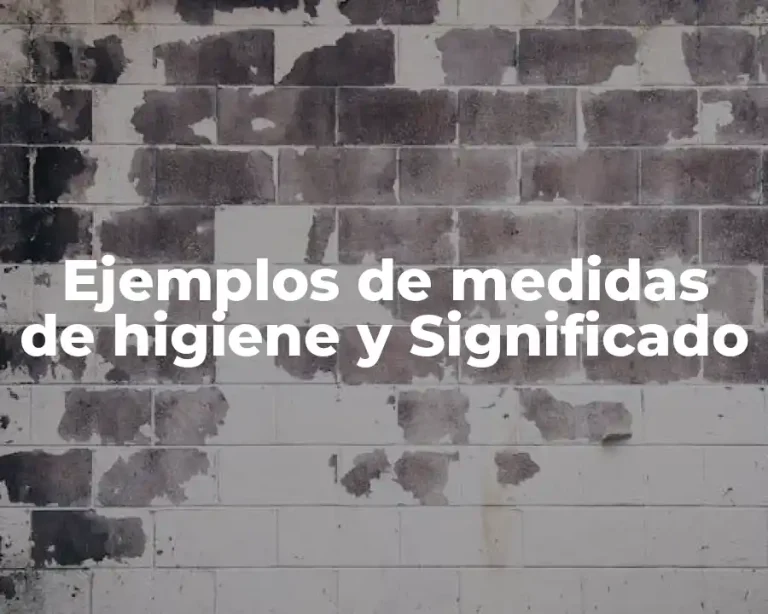 Ejemplos de medidas de higiene y Significado