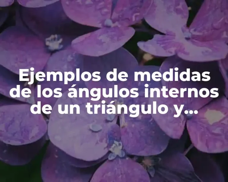 Ejemplos de medidas de los ángulos internos de un triángulo y Significado