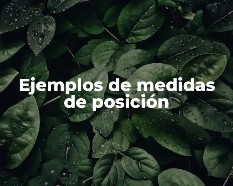 Ejemplos de medidas de posición