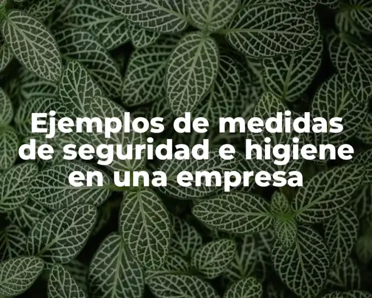 Ejemplos de medidas de seguridad e higiene en una empresa