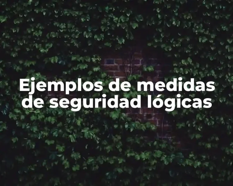 Ejemplos de medidas de seguridad lógicas
