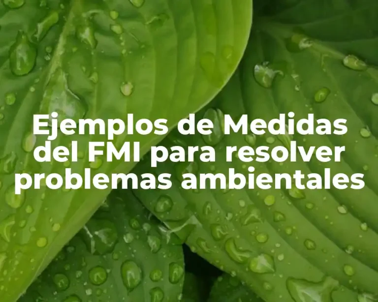 Ejemplos de Medidas del FMI para resolver problemas ambientales