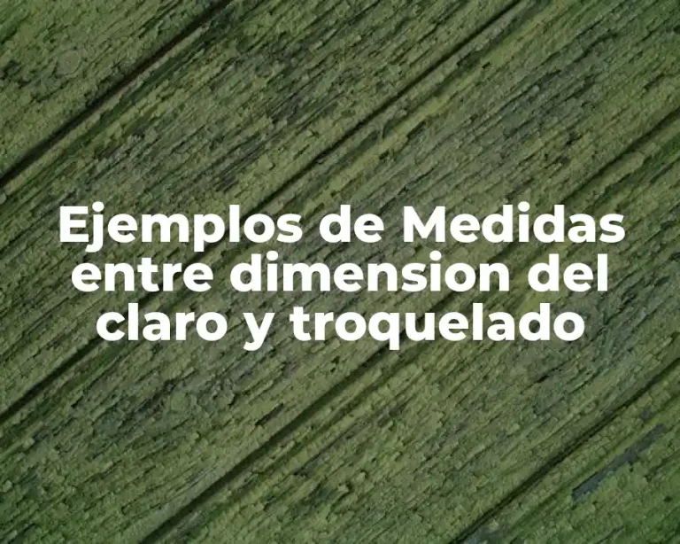 Ejemplos de Medidas entre dimension del claro y troquelado