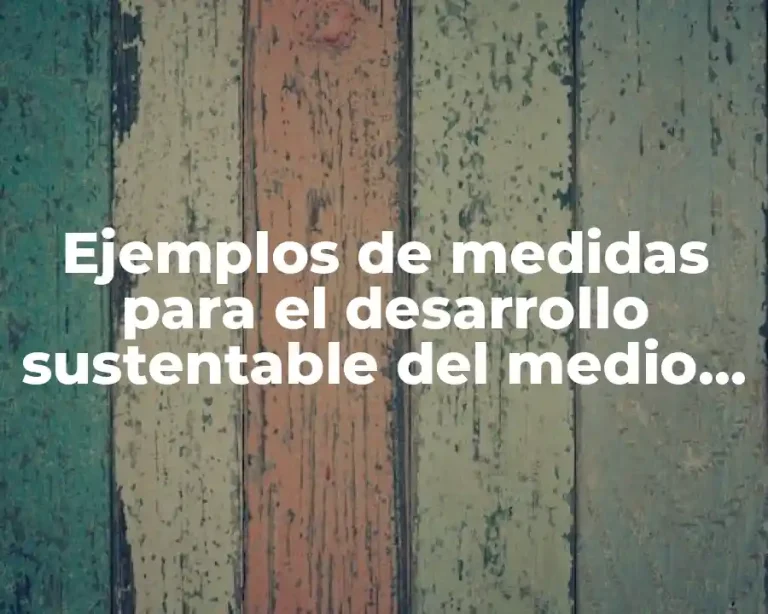 Ejemplos de medidas para el desarrollo sustentable del medio ambiente y Significado
