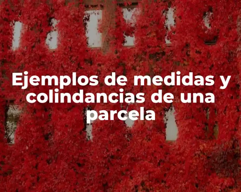 Ejemplos de medidas y colindancias de una parcela