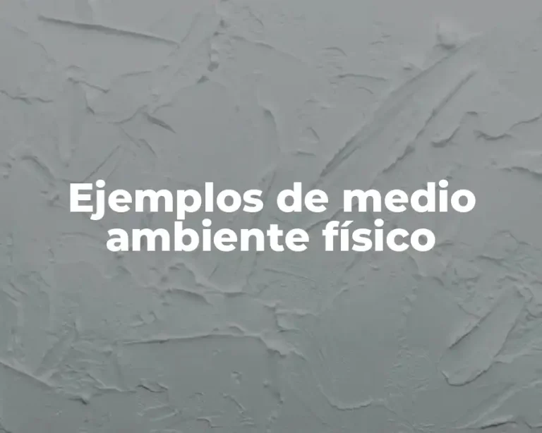 Ejemplos de medio ambiente físico