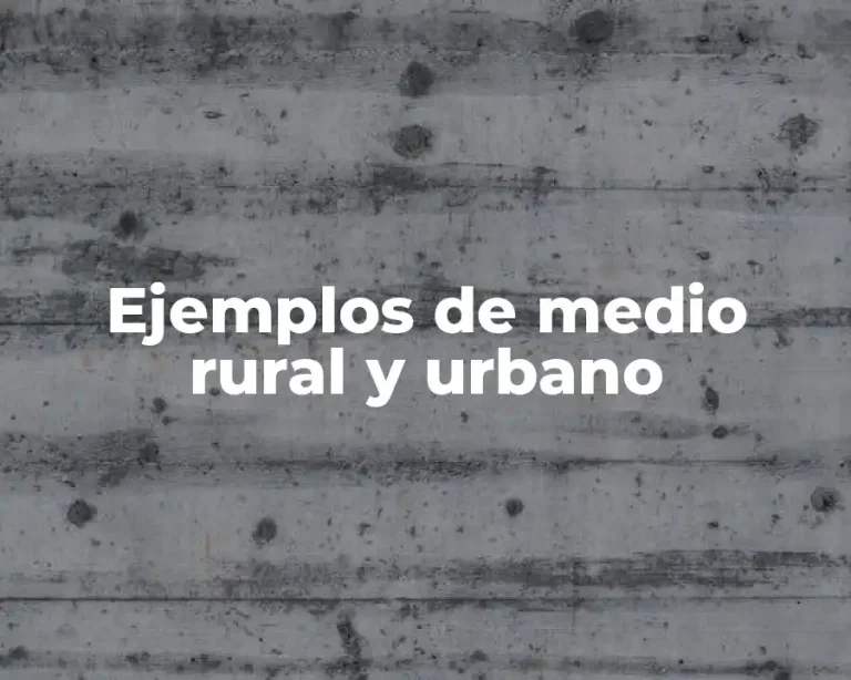 Ejemplos de medio rural y urbano