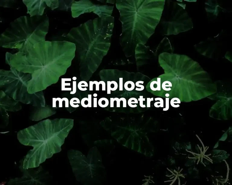 Ejemplos de mediometraje